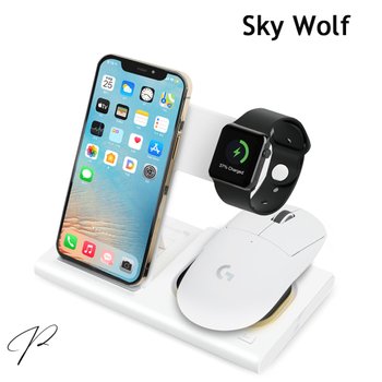 스카이울프 Sky Wolf  4in1 올인원 파워볼 충전기 (로지텍 지슈라 지슈라2 호환)
