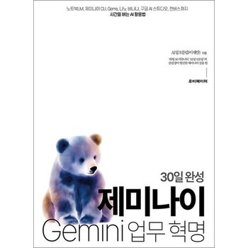 30일 완성 제미나이 업무 혁명 - 제미나이 CLI Gems 나노 바나나 구글 AI 스튜디오 캔버스까지 시간을 버는 AI 활용법