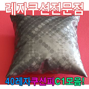 40레자쿠션W1음레자쿠션예쁜쿠션쿠션 228CFA35