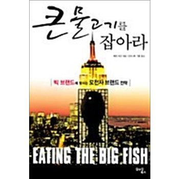 큰 물고기를 잡아라 - 빅 브랜드에 맞서는 도전자 브랜드 전략