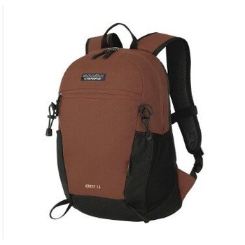 공용 크레스트12L REEGBPX231071_IC