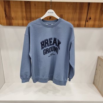 빈티지 빅로고 바이오 맨투맨티 25A1406A_HDD