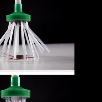 바퀴벌레 퇴치 벅스캐쳐 돈벌레 거미 잡는법 원룸 바퀴벌레잡는법 원룸바퀴벌레 돈벌레