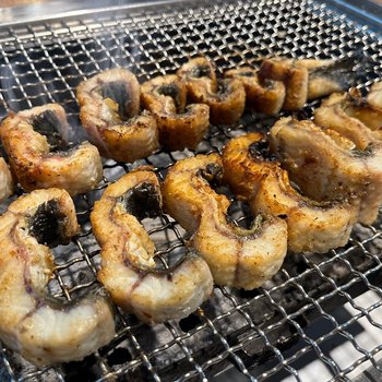 하이바다 국내산 자포니카 민물장어 1kg 몸보신 건강