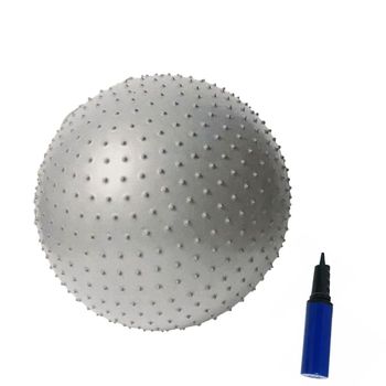 마사지 WR40DB74 65cm 짐볼 필라테스 홈트 맛사지 운동