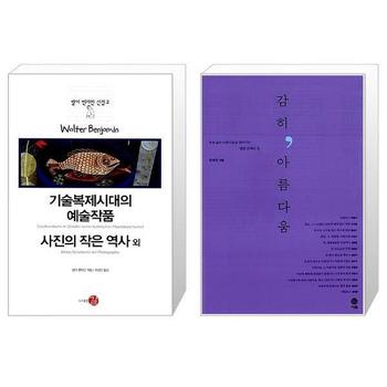 기술복제시대의 예술작품   사진의 작은 역사 외 + 감히  아름다움 _P339540484