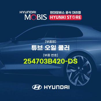 튜브 오일 쿨러 (254703B420-DS)