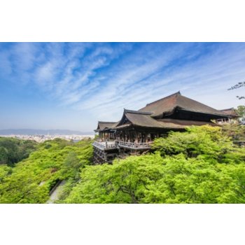 연휴 전세기 오사카/교토/고베 3일 청수사 산젠인 호세인 도톤도리 신사이바시 오사카성 모자이크 하버랜드