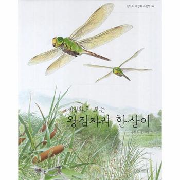 세밀화로 보는 왕잠자리 한살이