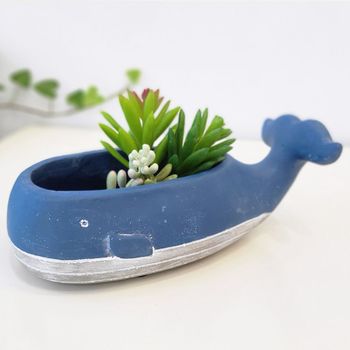 Carnic japan 큰고래 도자기화분(블루)