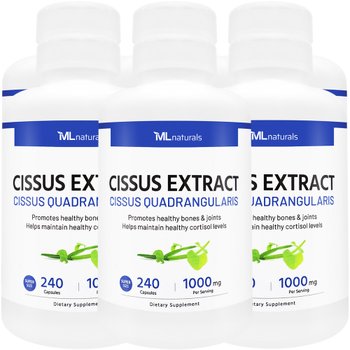 [해외직구] 신제품 6병 마이라이프 내추럴스 수퍼사이즈 시서스 추출물 1000mg 240정 슈퍼사이즈