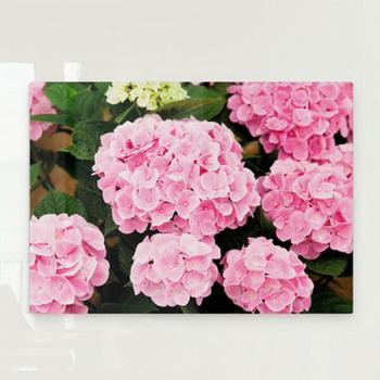 꾸밈 아트박스/꾸밈 pj247-폼아크릴액자78CmX56Cm_분홍수국