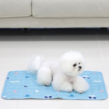 마이또 강아지 쿨매트 러브시리즈 대형 60x90cm 고양이