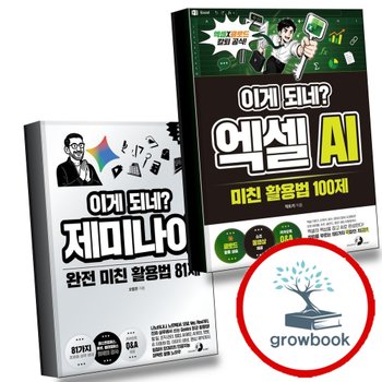 이게되네엑셀AI미친활용법100제 + 제미나이완전81제 (전2권) 세트 추천도서