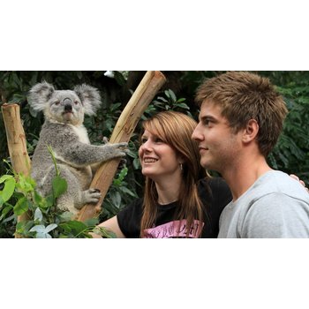 [선착순추가할인] 호주 시드니+골드코스트/뉴질랜드 남북섬 12일 골드코스트 밀포드사운드 하무라나스프링스 해밀턴가든 시드니하버크루즈 전일정 4성급 호텔