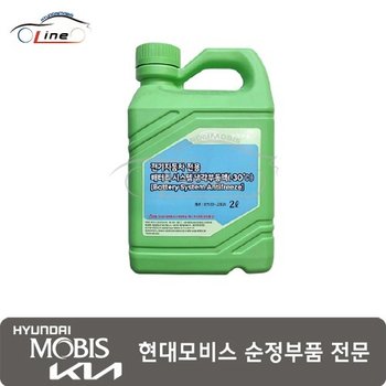 부동액 전기차 배터리용 2L (파란색) 07100 J2B21