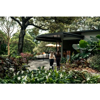 [스마트초이스] 로컬감성 시드니 7일 블루마운틴 별빛투어 캄슬리힐시티팜 본다이비치1박 소도시투어 보우럴 시닉3종 오페라하우스 내부관람 하버크루즈 시드니시내명소 노옵션 PAP102BF67E90AA