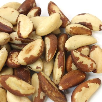 26년 수확 햇 브라질너트 1kg 미듐 브라질넛 완태