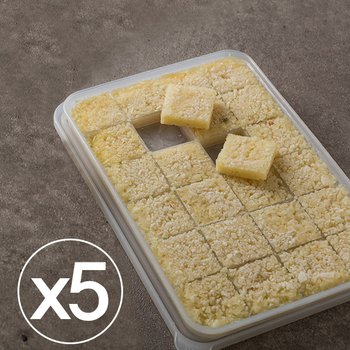 냉장고수납 마늘칸칸소 5개