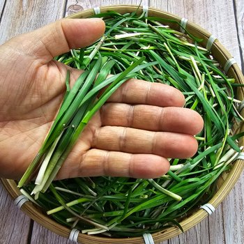 제철 노지 햇 초벌부추 정구지 500g