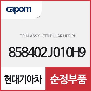 센터 필러 상부 트림,조수석쪽 (858402J010H9) 모하비