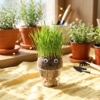 큰머리 토피어리 새싹보리 잔디인형 만들기 패키지 (10개 묶음) DIY