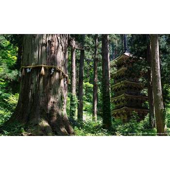 기차여행 야마가타현 5일 소도시로망스 긴잔온천 야마데라 자오산정