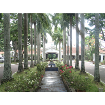 [다색골프/노쇼핑/노옵션] 마닐라 골프 5일 (초특급 카지노호텔/마닐라근교골프장 매일다르게 54홀)