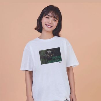 키밍 브리티시 쇼트헤어 고양이 그래픽 캐쥬얼 반팔티