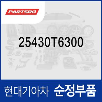 라디에이터 리저버탱크(냉각수통/부동액통) (25430T6300) 제네시스 GV80 (JX1)