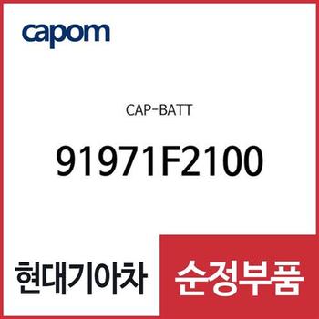 캡-배터리(+) (91971F2100) 벨로스터N, 아반떼AD, 코나, 올뉴 K3, K3 21, 코나 전기차, 쏘울 부스터, 니로 전기차 22, 셀토스