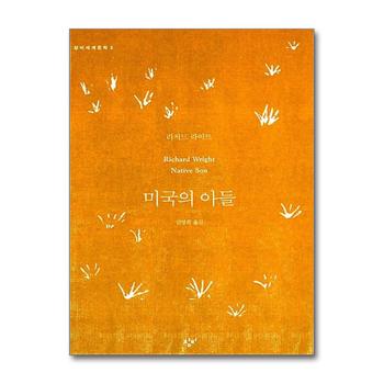 미국의 아들 (창비 세계문학 2)