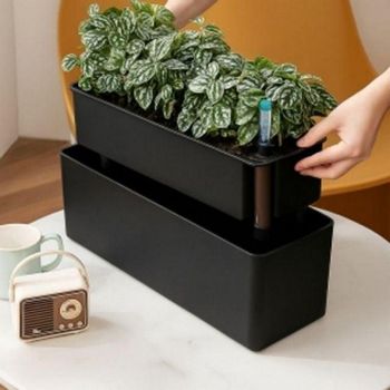 화분관수하분베란다텃밭상추저면관수