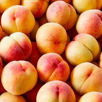 딱딱이 백도 복숭아 중과 4kg / 18-24과 내외