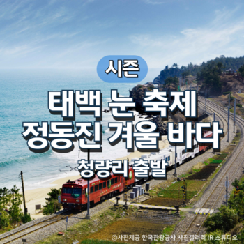 무궁화호 태백산 눈 축제·정동진 겨울 바다 기차여행(청량리 출발)