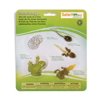 Safari Ltd 269129 개구리성장과정 교육피규어