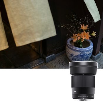 C 30mm F1.4 DC DN (소니E마운트)