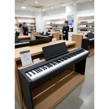 롤랜드 FP-30X 디지털 피아노 88건반 PHA4 해머건반 전자피아노 고음질 스피커