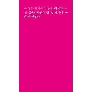 뚱한 펭귄처럼 걸어가다 장대비 맞았어 - 문학동네시인선 165