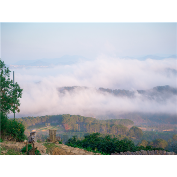 [기간한정][노옵션+430상당혜택(마사지2회+무제한특식3회)] 나트랑x달랏 3박5일[5성호텔] AVP636BX5W