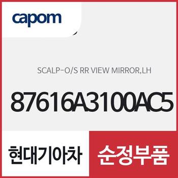사이드미러 커버,운전석쪽 (87616A3100AC5M) 레이