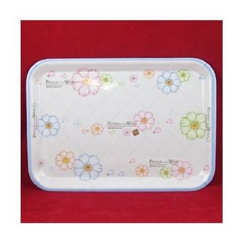 아이에스리빙 페러스 직사각 쟁반 소(WFI9HVI)