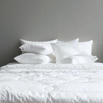 아트박스/보웰 보웰 100마이크로화이버 싱글수퍼싱글 이불솜 (160x210cm)