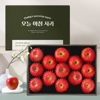 [오늘아침사과] 사과 선물세트 3kg 13과[35681786]