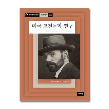 미국 고전문학 연구 (한국연구재단총서 613)