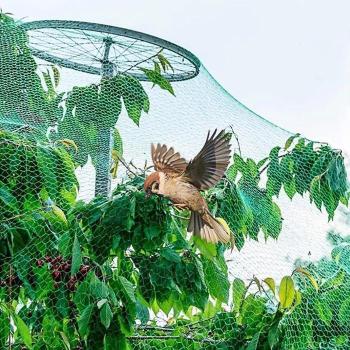 새 그물망 농작물 보호 그물 방조망 2x5m DD-11971 (9042508A)