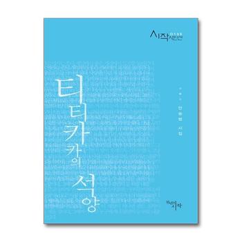 티티카카의 석양 (시작시인선 135)