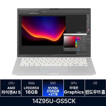 LG전자 LG그램 14Z95U-GS5CK 16GB 256GB + 2TB 추가