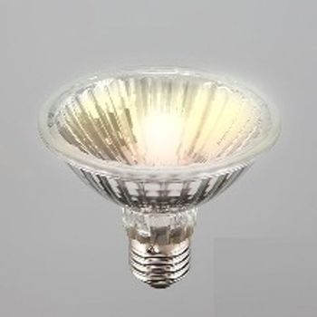 PAR30 75W SST FL 230V E27 전구색 필립스 부품