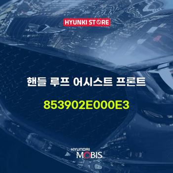 핸들 루프 어시스트 프론트 (853902E000E3) 현대모비스부품몰